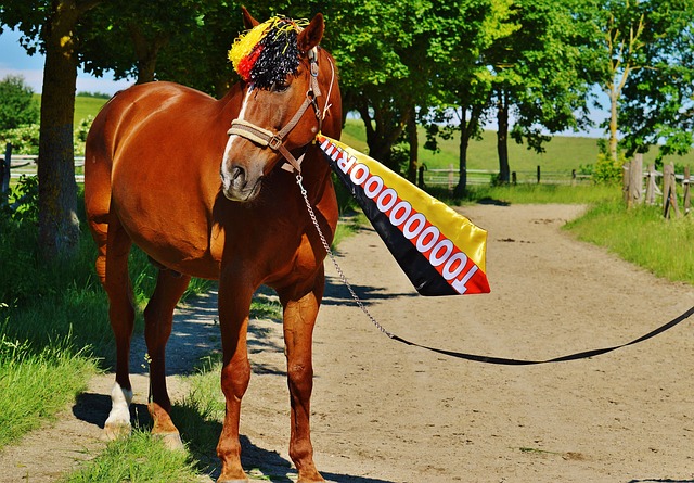 逐步在竞争 逐步在竞争