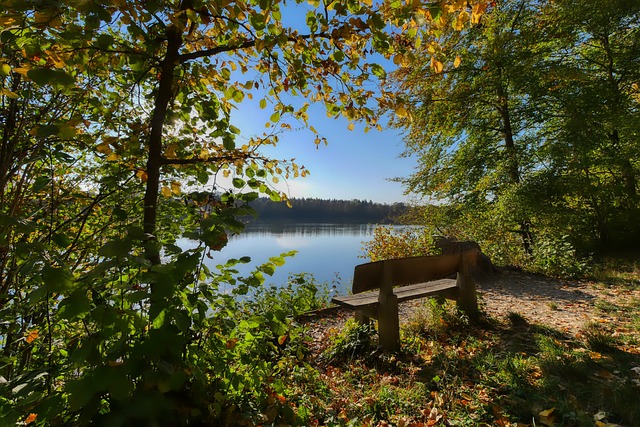 開和回望 開和回望