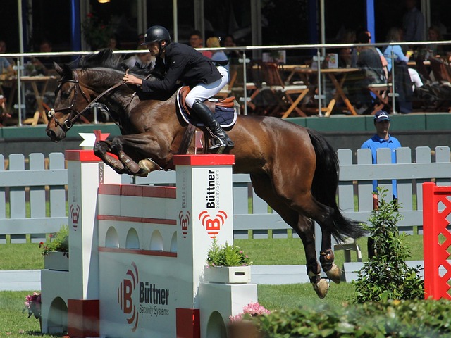 乒乓球区配 乒乓球区配